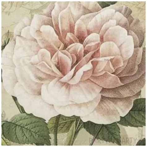 serwetki biala roza vintage maki 33 cm 20 szt