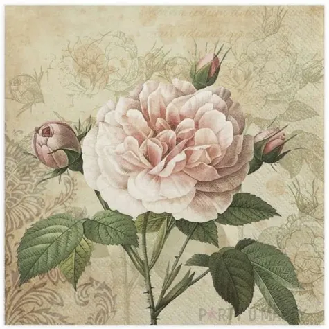 serwetki biala roza vintage maki 33 cm 20 szt