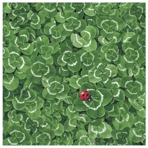 serwetki biedronka w koniczynach maki 33 cm 20 szt