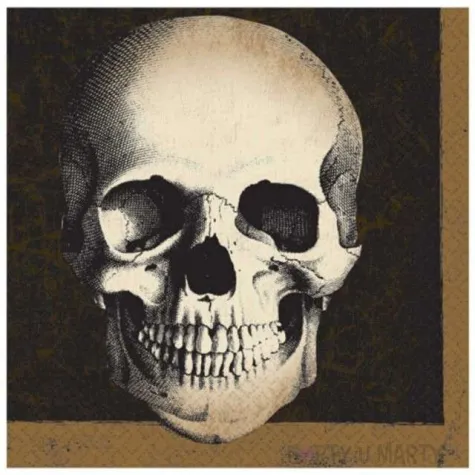 serwetki czaszka 33 cm amscan 20 szt