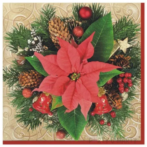 serwetki czerwona poinsencja maki 33 cm 20 szt