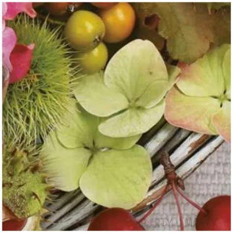 serwetki dary jesieni maki 33 cm 20 szt