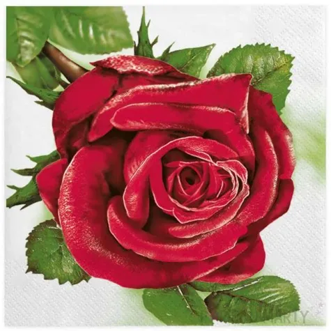 serwetki duza czerwona roza maki 33 cm 20 szt