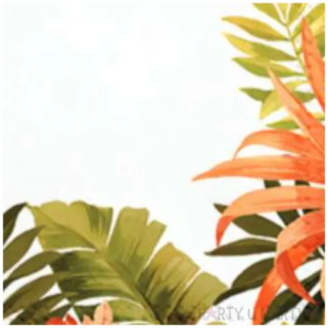 serwetki egzotyczna ramka paw 33 cm 20 szt