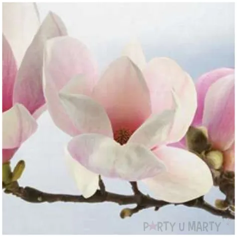 serwetki galazka magnolii blekitna maki 33 cm 20 szt