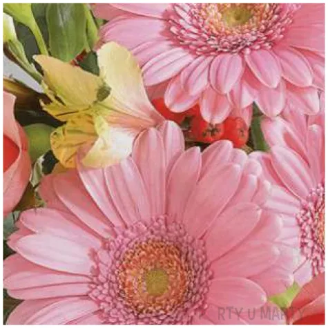 serwetki gerbery i rozowe roze maki 33 cm 20 szt