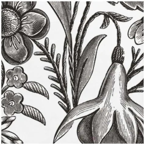 serwetki ilustrowane czarne kwiaty maki 33 cm 20 szt