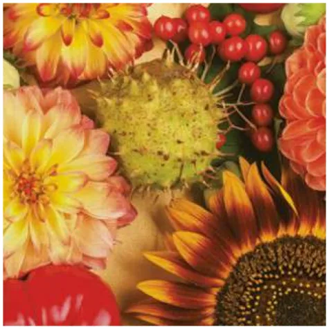 serwetki jesienna wariacja maki 33 cm 20 szt