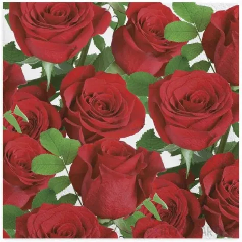 serwetki klasyczne czerwone roze maki 33 cm 20 szt