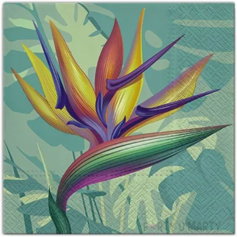 serwetki kolorowy kwiat paw 33 cm 20 szt