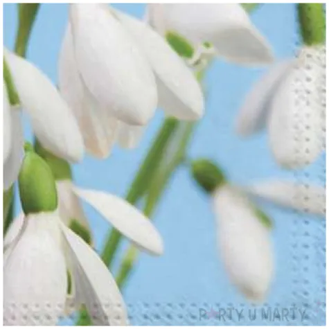 serwetki kwiaty przebisniegi maki 33 cm 20 szt