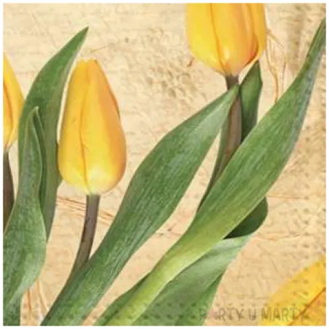 serwetki kwiaty tulipany zolte maki 33 cm 20 szt