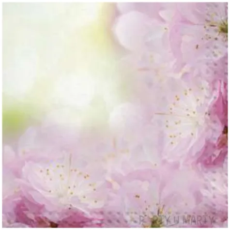 serwetki kwiaty wisnie maki 33 cm 20 szt