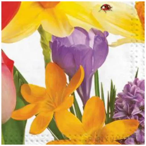 serwetki kwiaty zonkile i roze maki 33 cm 20 szt