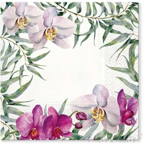 serwetki kwitnaca orchidea paw 33 cm 20 szt