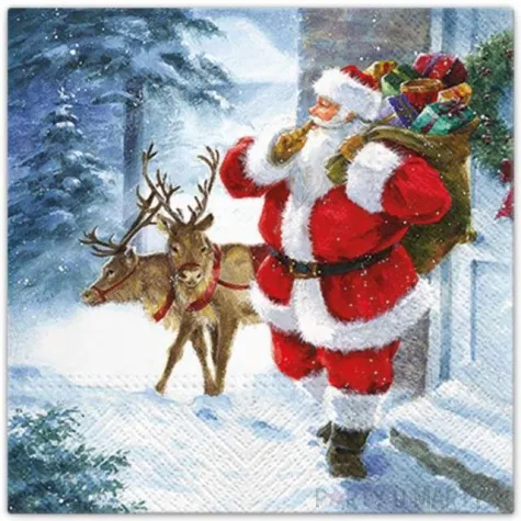 serwetki nadchodzi mikolaj paw 33 cm 20 szt