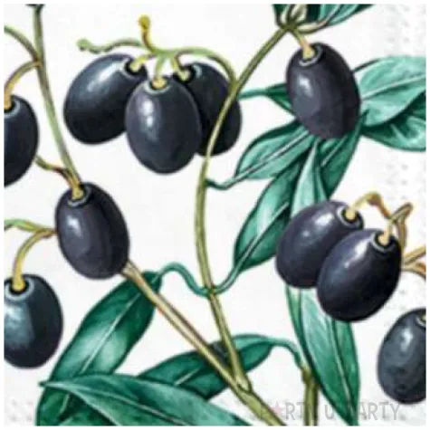 serwetki oliwki w ramce paw 33 cm 20 szt