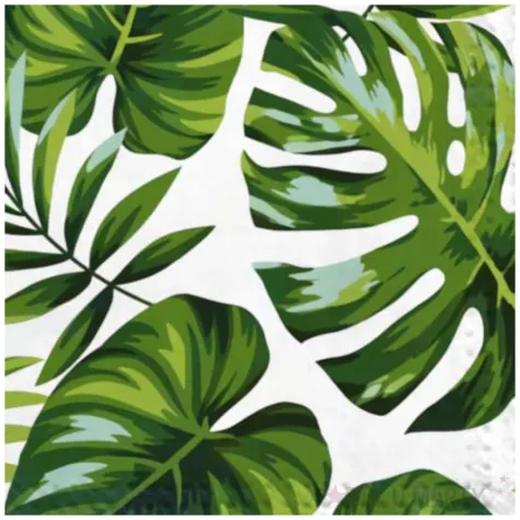 serwetki papierowe liscie palmy i monstera guirca 33 cm 12 szt
