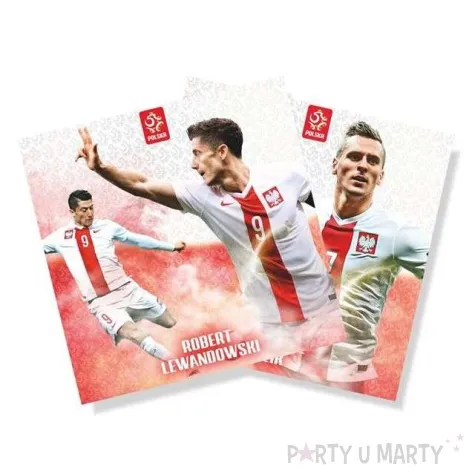 serwetki pilka reprezentacja pzpn godan 16 szt