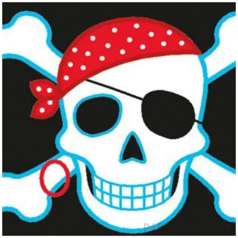 serwetki piraci amscan 25 cm 16 szt