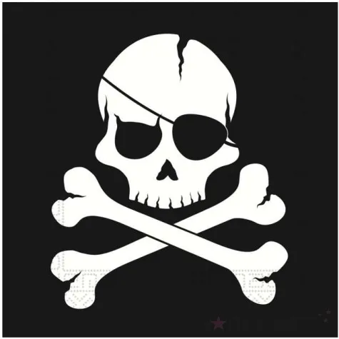 serwetki piracka czaszka procos 33 cm 20 szt