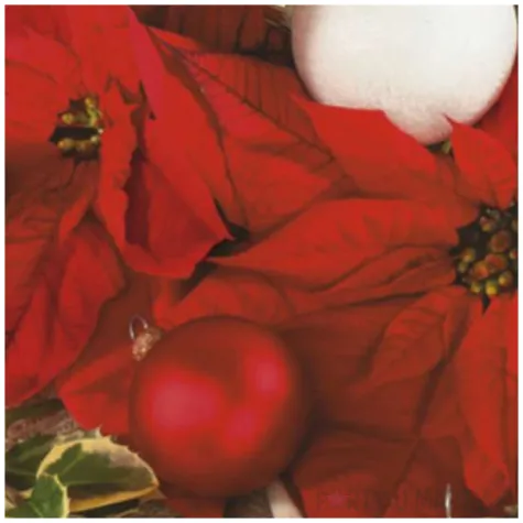 serwetki poinsecje i jemiola maki 33 cm 20 szt