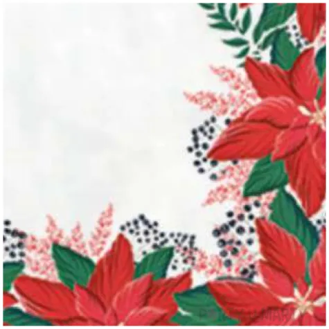 serwetki ramka z poinsecji paw 25 cm 20 szt