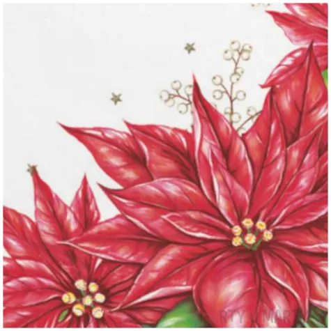 serwetki ramka z poinsencja maki 33 cm 20 szt