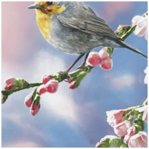 serwetki rudzik na galezi maki 33 cm 20 szt