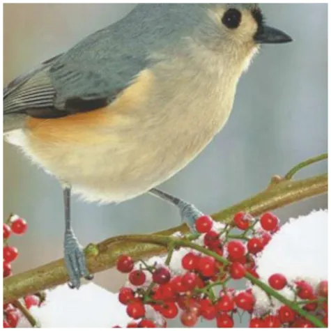 serwetki sikorka na galezi maki 33 cm 20 szt