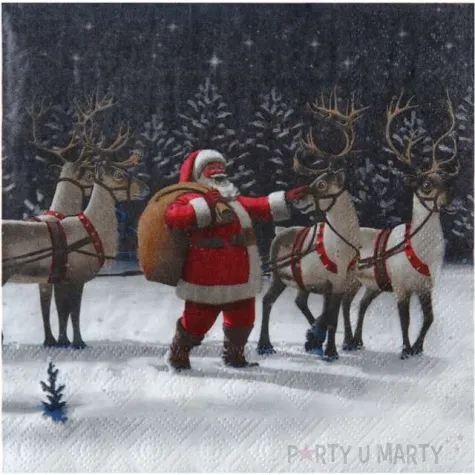 serwetki swiety mikolaj santex 33 cm 20 szt