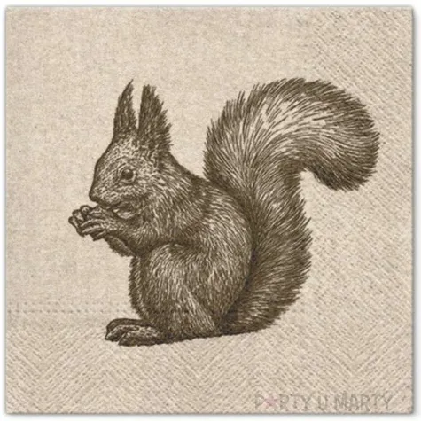 serwetki szkic wiewiorki paw 33 cm 20 szt