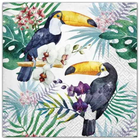 serwetki tukany maki 33 cm 20 szt