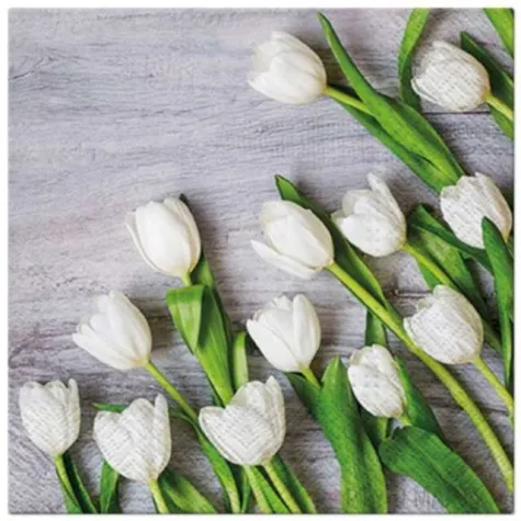 serwetki tulipany biale paw 33 cm 20 szt