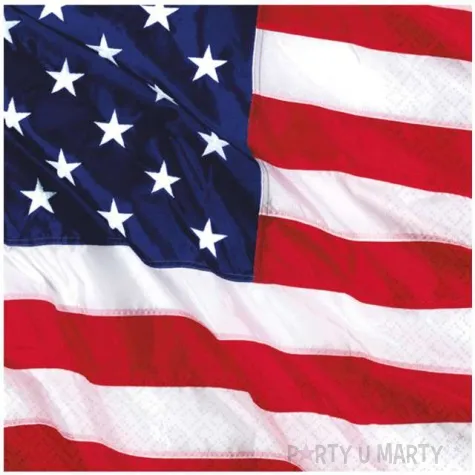 serwetki usa flaga amscan 25 cm 16 szt