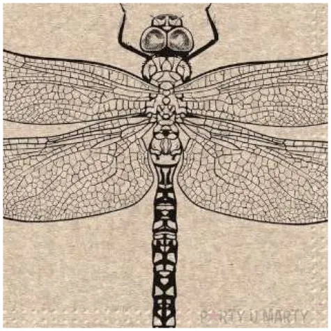 serwetki we care wazka paw 33 cm 20 szt