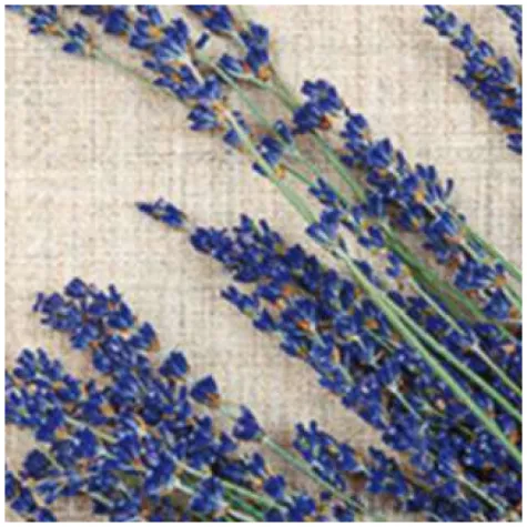 serwetki wiazka lawendy paw 33 cm 20 szt