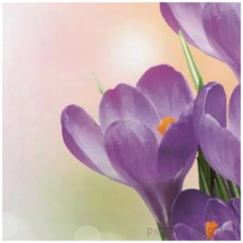 serwetki wielkanoc fioletowe krokusy maki 33 cm 20 szt