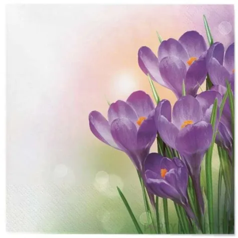 serwetki wielkanoc fioletowe krokusy maki 33 cm 20 szt