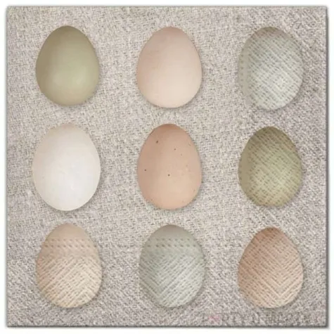 serwetki wielkanoc jajka mozaika maki 33 cm 20 szt