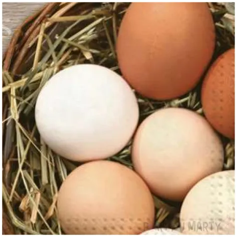 serwetki wielkanoc jajka w koszu maki 33 cm 20 szt