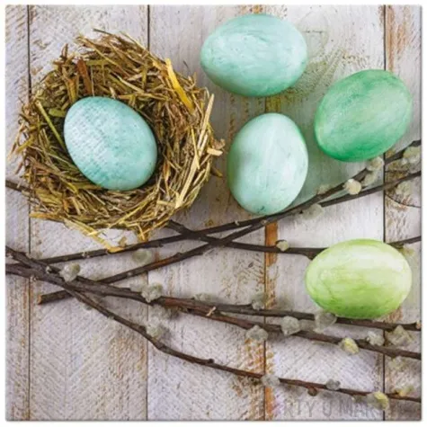 serwetki wielkanoc jajka z baziami paw 33 cm 20 szt