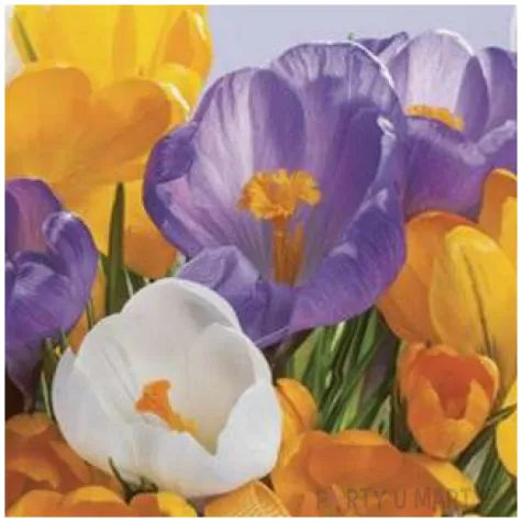 serwetki wielkanoc kolorowe kwiaty maki 33 cm 20 szt