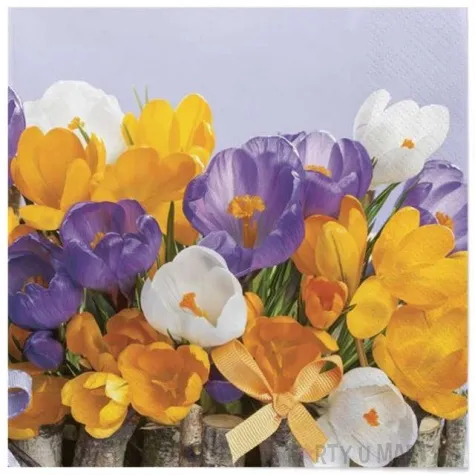 serwetki wielkanoc kolorowe kwiaty maki 33 cm 20 szt