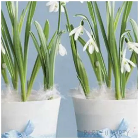 serwetki wielkanoc konwalie w doniczkach maki 33 cm 20 szt