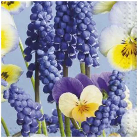 serwetki wielkanoc kwiaty polne maki 33 cm 20 szt