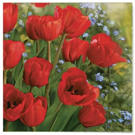 serwetki wielkanoc maki czerwone maki 33 cm 20 szt