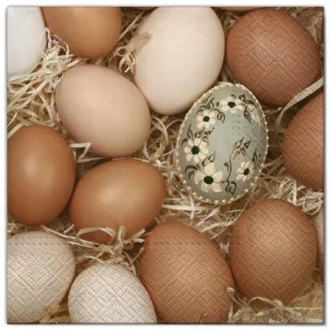 serwetki wielkanoc naturalne jajka maki 33 cm 20 szt