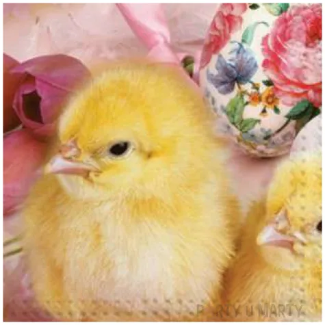 serwetki wielkanoc pisklaki rozowe maki 33 cm 20 szt