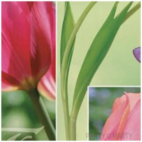 serwetki wielkanoc tuipany zolte i rozowe maki 33 cm 20 szt